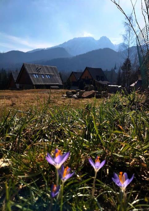 Tatra Homes Z Jacuzzi Holiday home