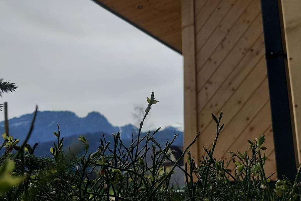 Tatra Homes Z Jacuzzi Holiday home Koscielisko