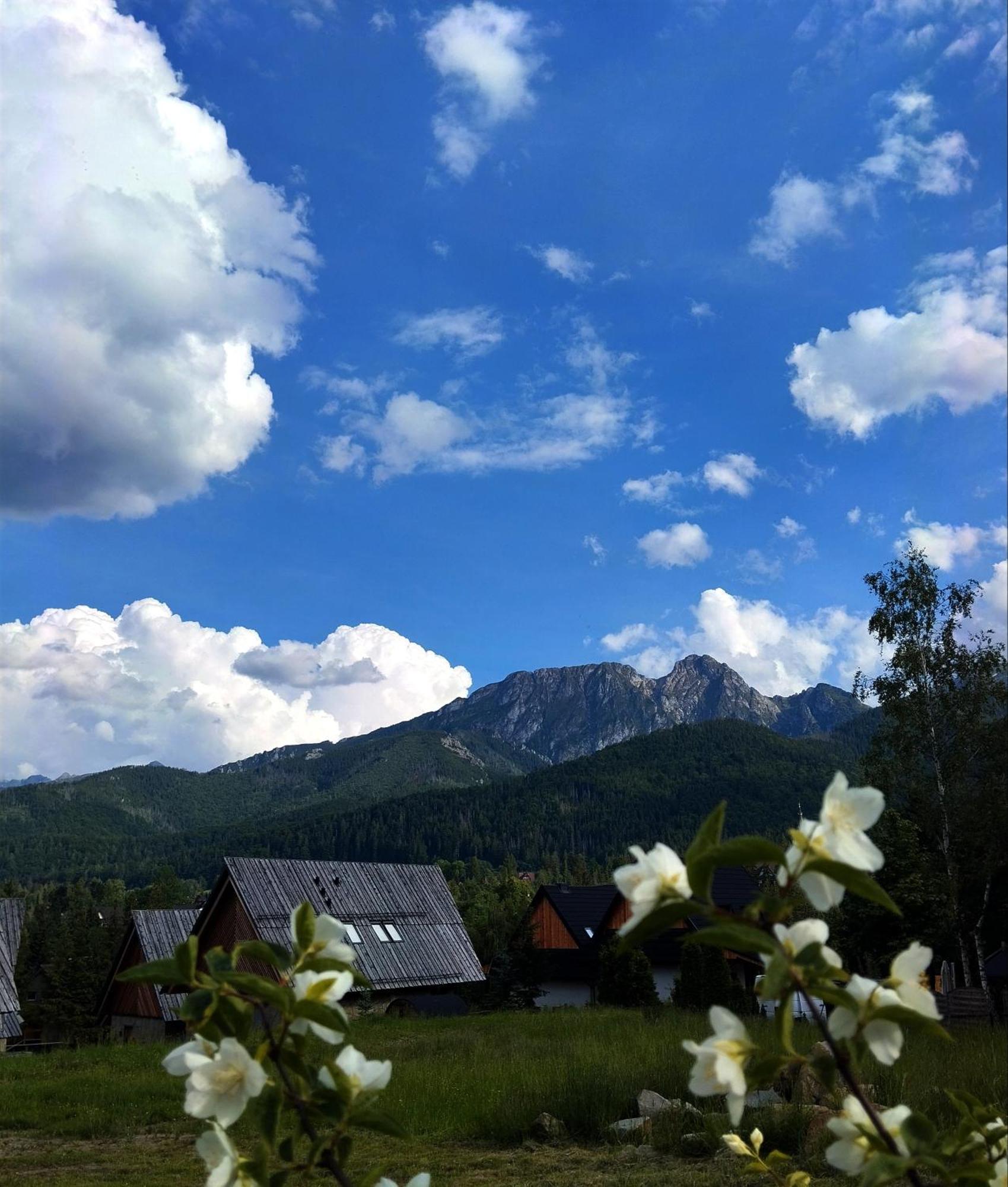 Tatra Homes Z Jacuzzi Holiday home